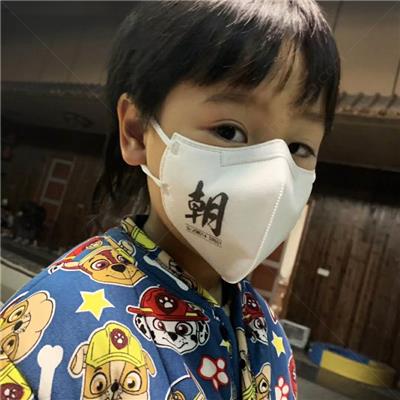 朝美S9501 KN95防塵口罩圖片2 朝美S9501 KN95防塵口罩圖片2