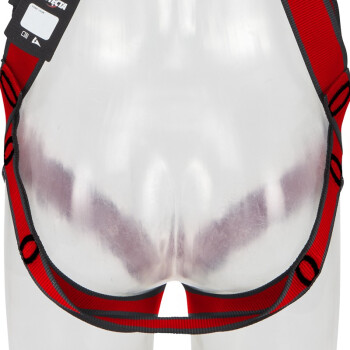 3M1161729保泰特P200五點式全身式安全帶圖片3 3M1161729保泰特P200五點式全身式安全帶圖片3