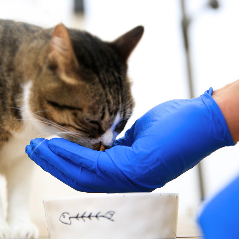 愛馬斯XNFST42100加厚一次性丁腈手套圖片2