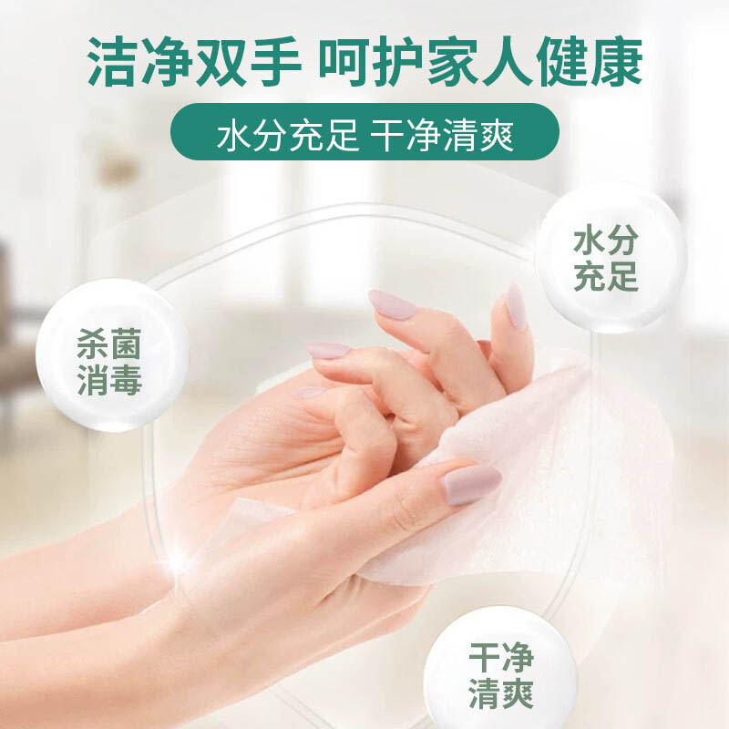 魯爾夫60抽75%醫用酒精濕巾圖片2