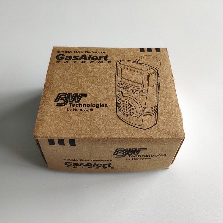 BW GAXT-H-DL便攜式單一硫化氫氣體檢測儀圖片3