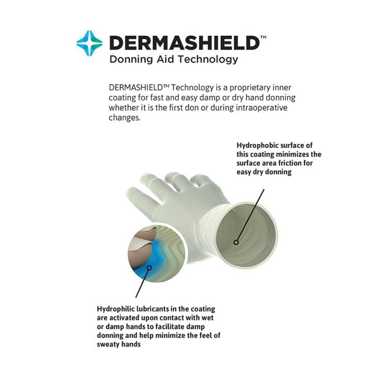 安思爾GAMMEX 340006070氯丁橡膠外科手套圖片3