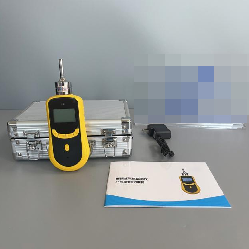 熱持RC-1100便攜式單氣體檢測(cè)儀圖片1