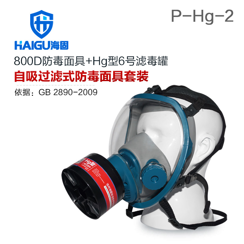 海固HG-800D P-Hg-2全面罩水銀防毒面具