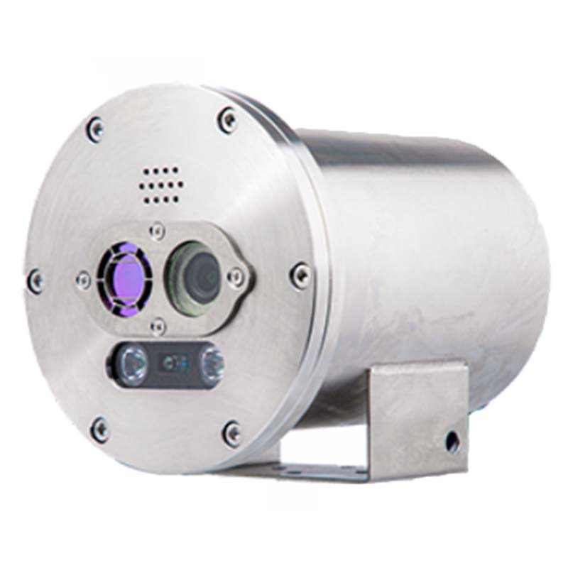 大立DLD-EXS206雙光譜防爆型測溫槍機