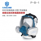 海固HG-800D/P-B-1/HG-TLMG防毒面具 無機氣體綜合防護