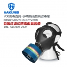 海固HG-700 D-A/B/E/K/H2S-3濾毒罐綜合防毒氣活性炭防毒面具