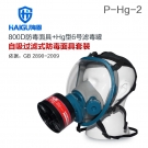 海固HG-800D P-Hg-2全面罩水銀防毒面具
