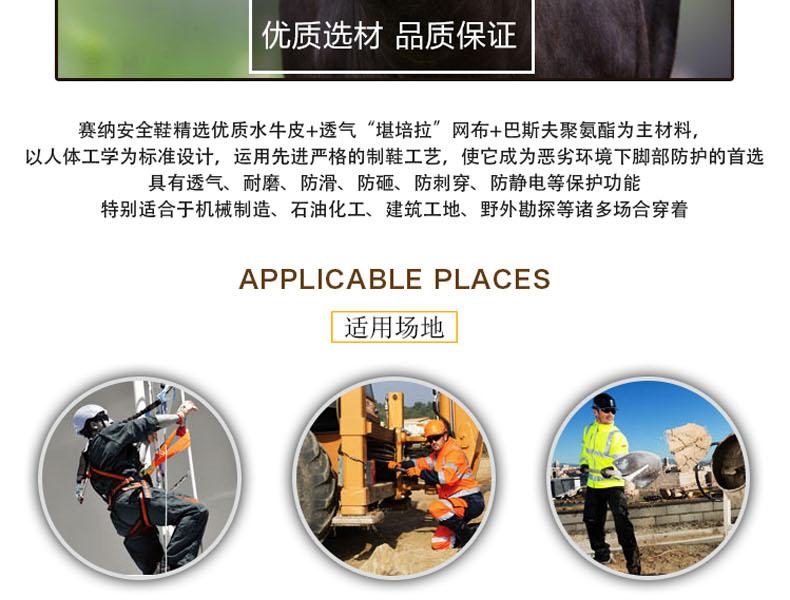 賽納ZF01電絕緣安全鞋圖片4