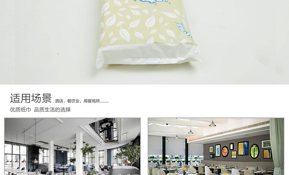 金佰利0020-01SCOTT雙層PE袋裝面紙圖10