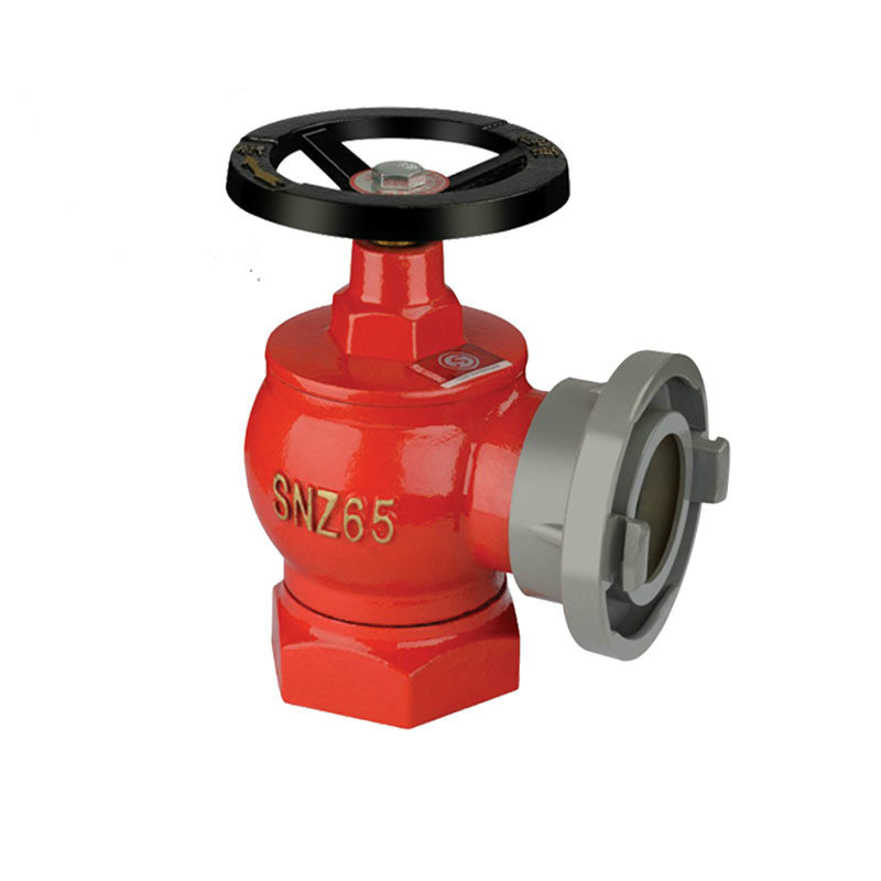 薪薪SNZ65旋轉(zhuǎn)型室內(nèi)消火栓圖片