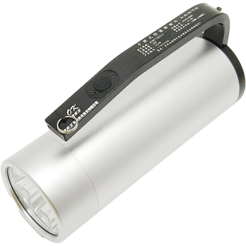 海洋王RJW7101手提式防爆手電筒圖片3