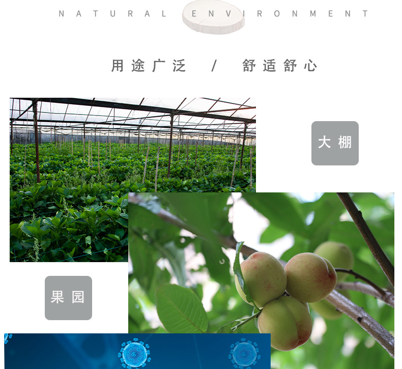 背負式手動噴霧器16L打農藥消毒霧化噴霧器8