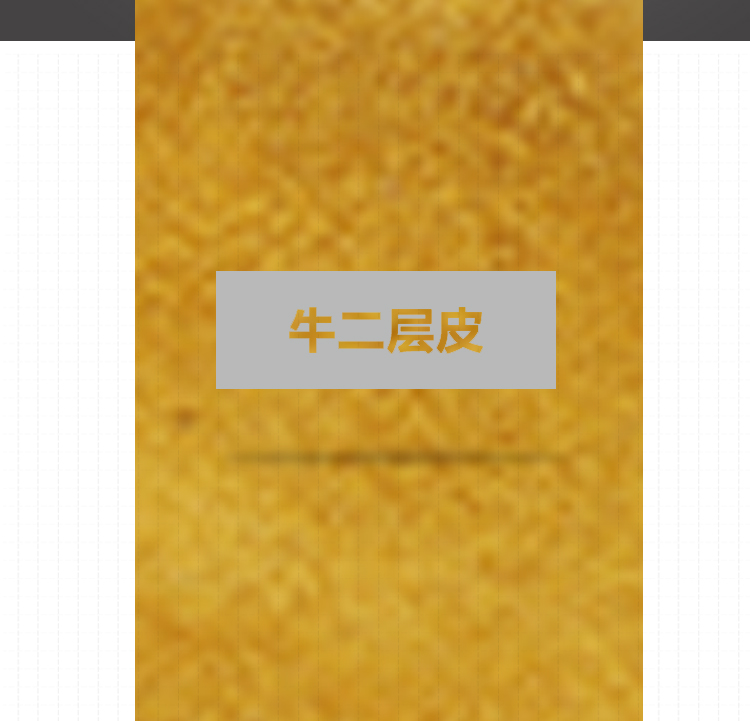 友盟AP-9006金黃色拉鏈焊槍保護套圖片2