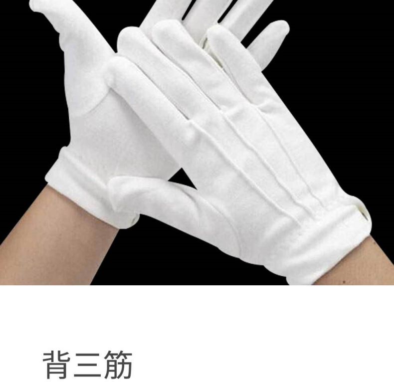 漢盾HD-GP5502滌綸背三筋帶扣禮儀勞保手套4