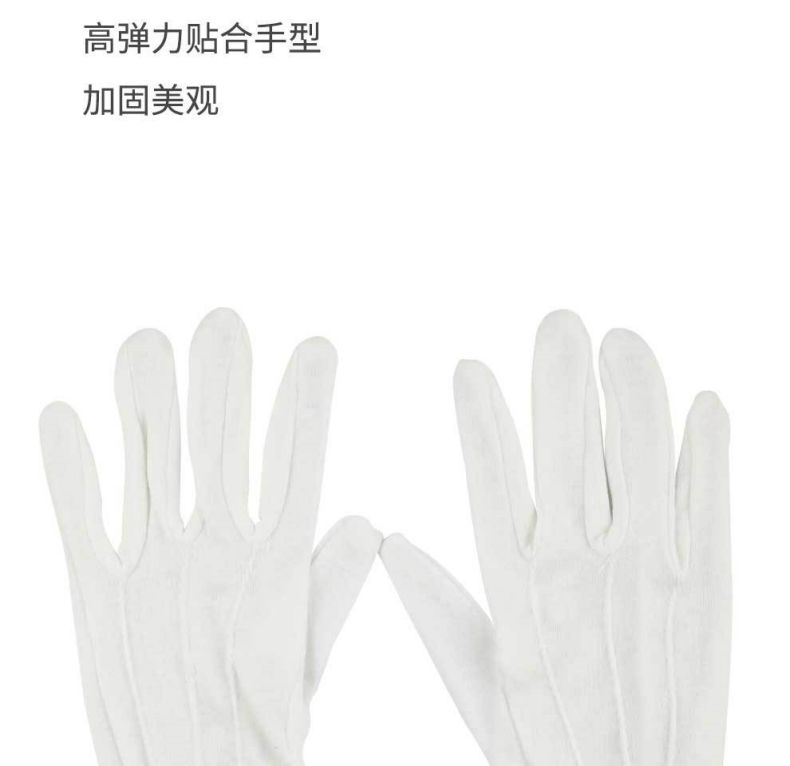 漢盾HD-GP5505滌棉背三筋帶扣白色禮儀勞保手套5