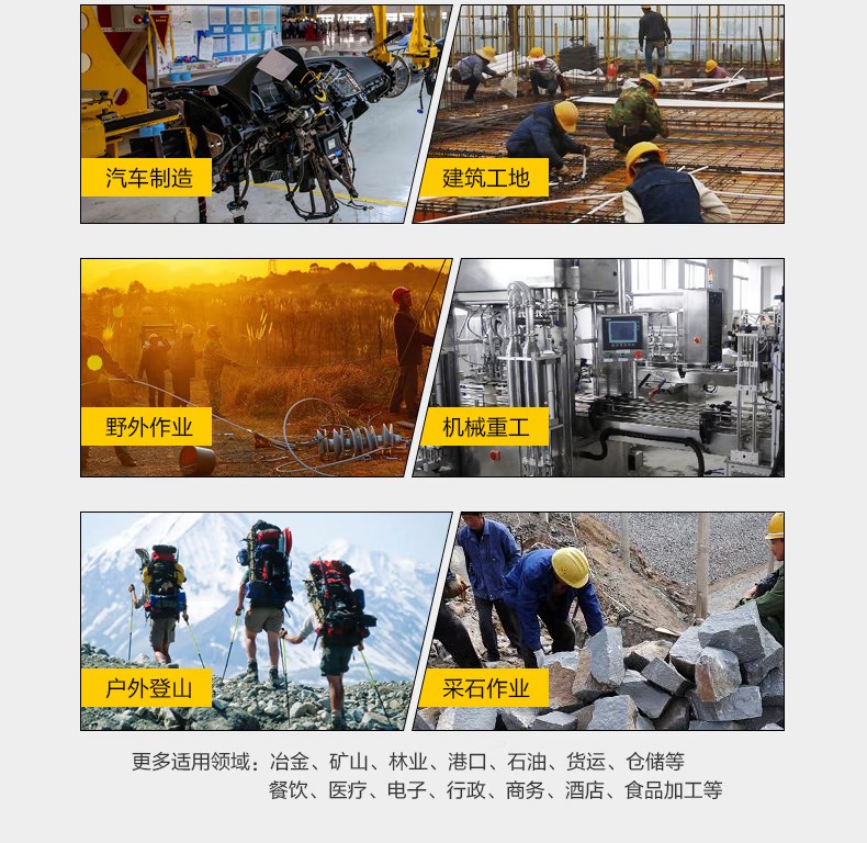 賽獅S5005防砸防刺穿防靜電安全鞋7