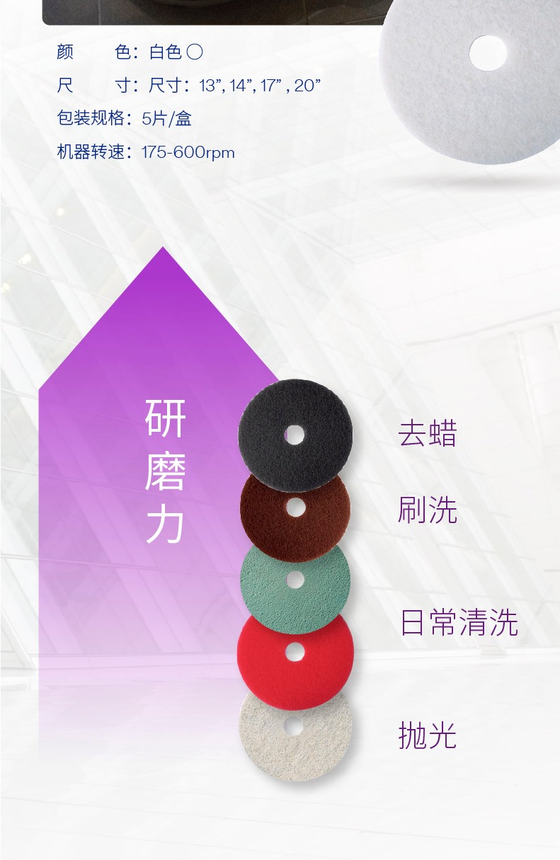 3M 4100白色拋光墊10