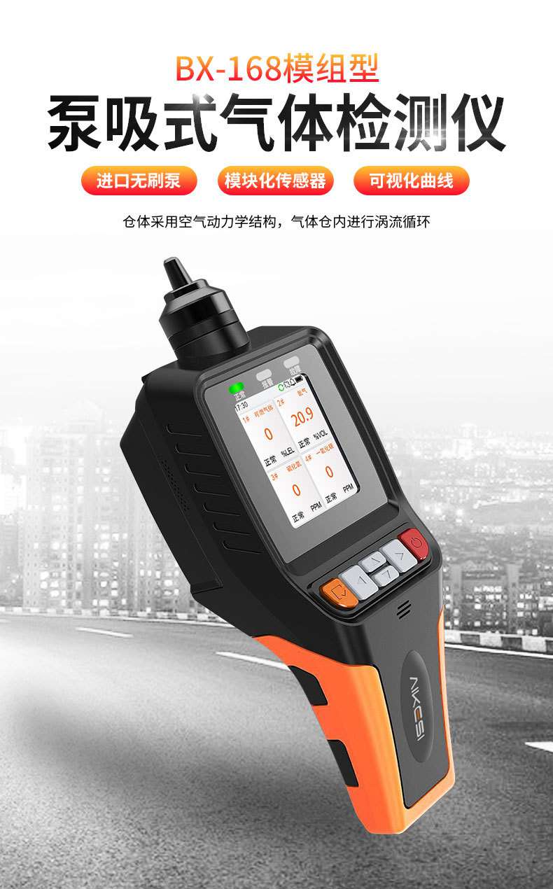 愛德克斯BX-168泵吸式氣體檢測(cè)儀1.jpg