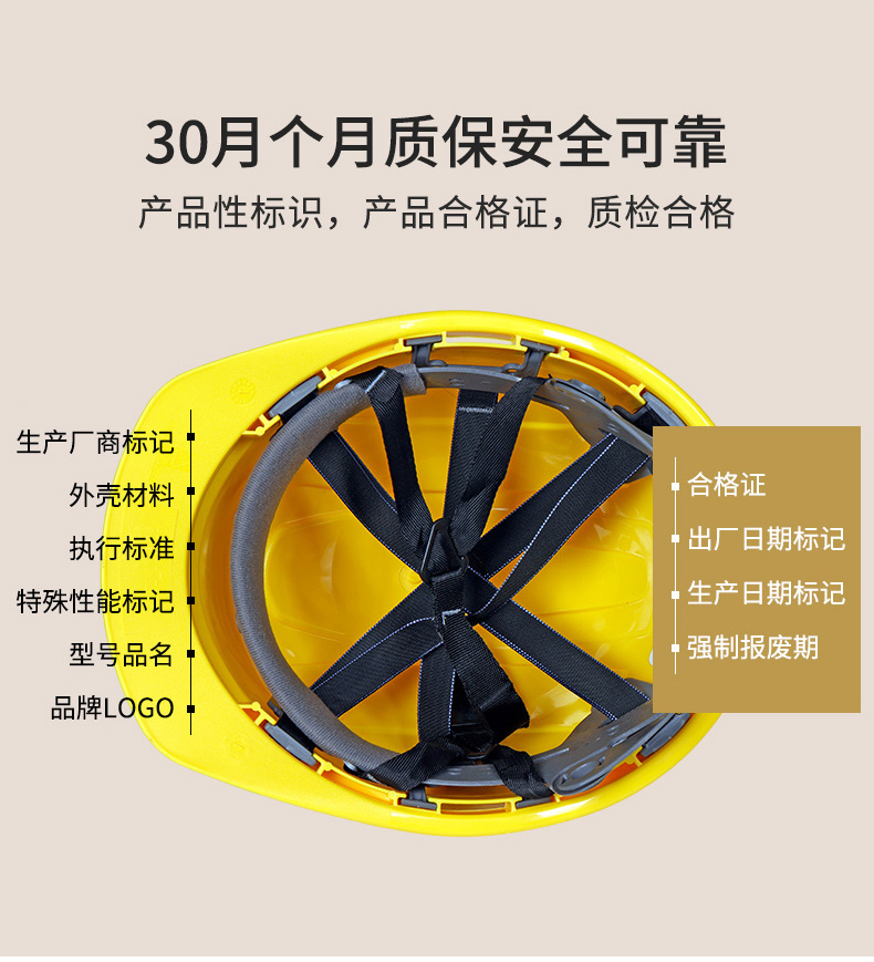 定和DH3021內置護目鏡帶透氣孔ABS安全帽6