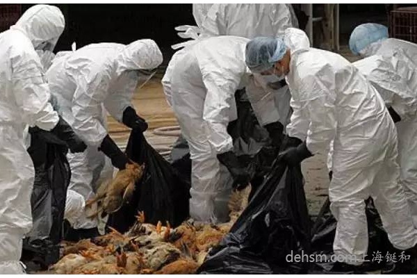 上海新增1例H7N9禽流感病例