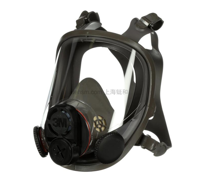 3M6800DIN全面罩防毒面具圖片-側(cè)面2
