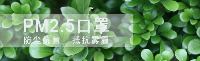 防pm2.5口罩